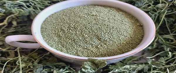 تصویر 4 از قیمت خرید گیاه دارویی آویشن شیرازی با فروش عمده